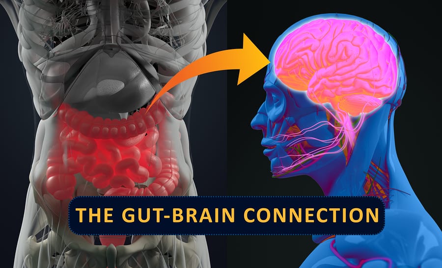 Is There a Link Between Gut Health and Mental Health?