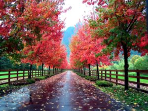 Change of Seasons Affect Your Recovery