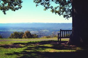 Rehab Alternative to Prison