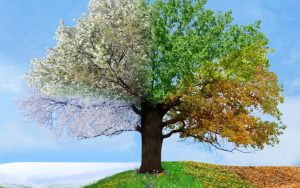 Impact of Seasonal Shifts