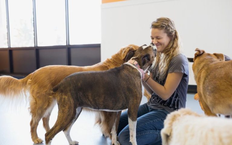 How Having a Dog Positively Affects Your Mental Health