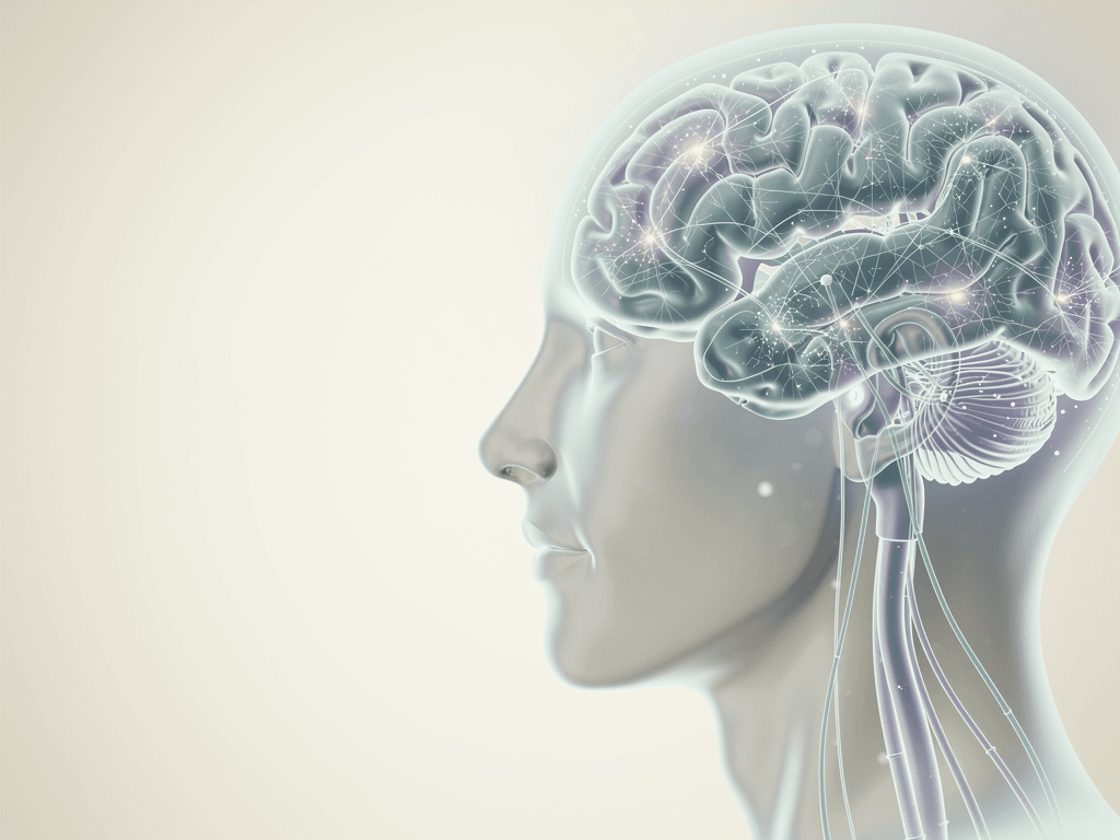 Brain and neural pathways illustration representing psilocybin effects on the brain